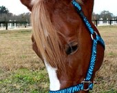 Blue Zebra Horse Halter - Pick Your Size