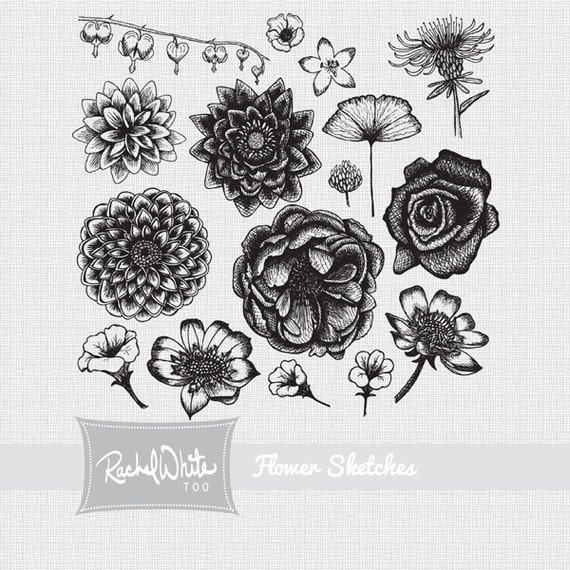 Flower Sketches Vector Illustrations 16 hand drawn images