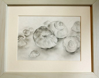 Popular items for sea shell drawing on Etsy