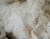 raw cotton for spinning or crafting (4 ounces)
