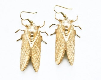 Giant Cicada Earrings / Brass / Gift