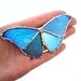 Blue Morpho Butterfly Necklace - Real Butterfly
