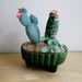 Stuffed Cacti