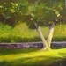 Landscape Oil Painting, Original Tree Art, 12x12 Canvas, Woodland Park, Wall Decor, Green and Yellow, Home Decor, Square Format