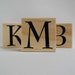 Letter M Stamp - Painted Rose Collection