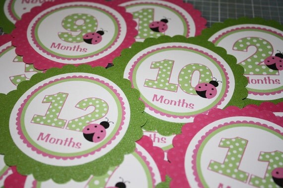 Sweet Ladybug Pink Green Baby's 1st Year Tags - girl or boy - ANY COLOR or THEME Il_570xn