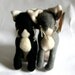 Reserved A Grey and White Cashmere Cat and Friend