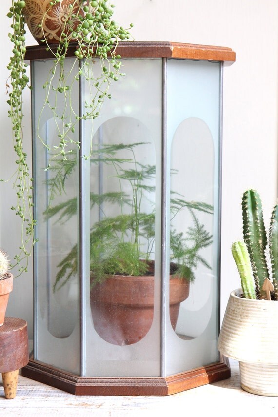 Large Vintage Etched Glass Geometric Terrarium