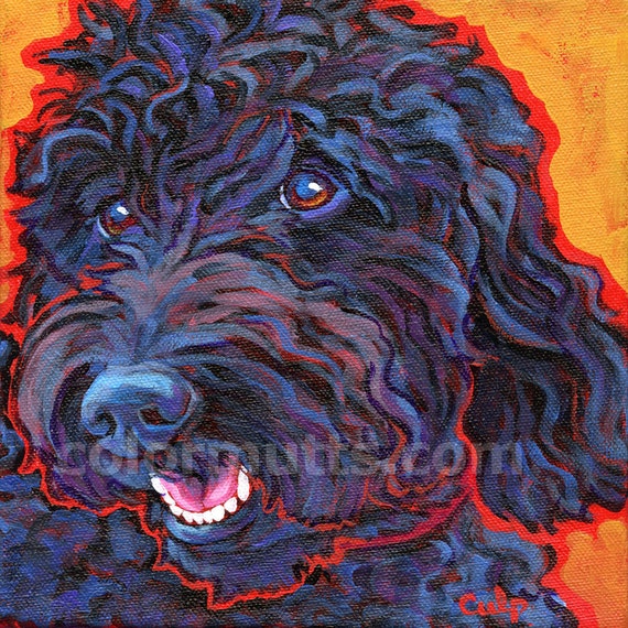 Black LABRADOODLE Dog Art Original Portrait Painting by colormutts