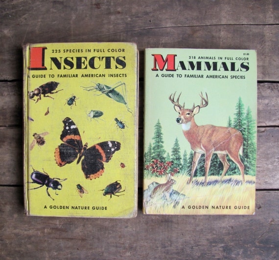 Vintage 1950s Golden Nature Guide Books Insects Amp Mammals