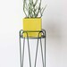 Modern Metal Hairpin Plant Stand