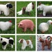Today's Special Buy Any 5 Mamma4earth Animal Knitting Patterns for 15 Dollars instead of 20 Dollars, (PDF)