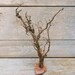 Rustic Root and Stone Natural Home Decor Tree Decor UNEARTHED