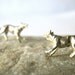 Dog ear studs Tiny earrings Sterling silver Miniature Minimal design Animal jewelry