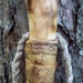 60 inch Walking stick, natural finish wooden hiking staff with FREE Shipping