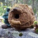 Rustic Woodland Birdhouse with deer antler and mushroom, Outdoor garden art bird house