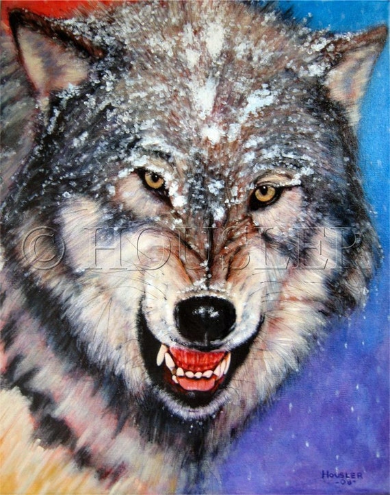 Snarling Gray Wolf 16x20inch original acrylic painting
