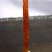 Orange Kyanite Crystal - Kyanite - Tanzania - Wire wrap stone for necklace pendant - raw rough natural - long - blade - coyoterainbow