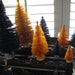 A Pretty Set of Fall Bottlebrush Trees