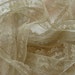 Gorgeous Antique French Netted Lace