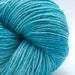 CarriBean, Hand Dyed Sock Yarn, Wool, Silk and Bamboo, 450 yards, sock weight /DK