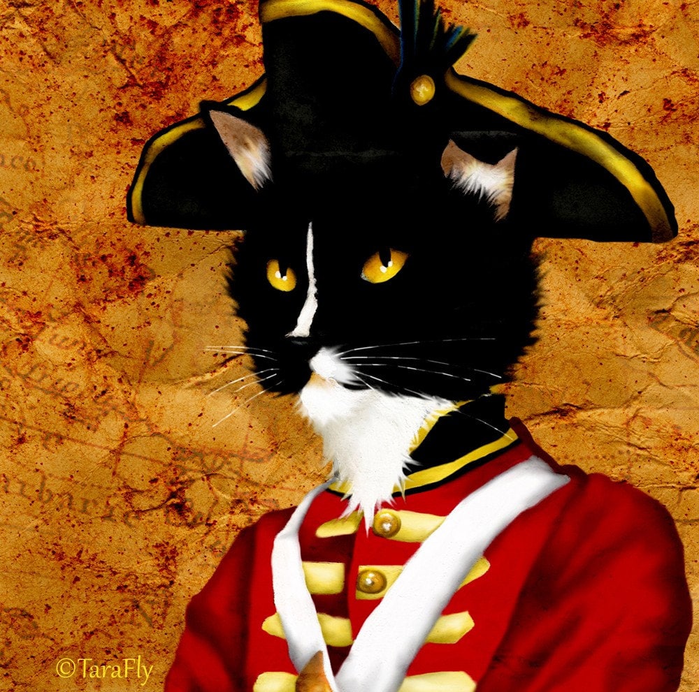 Tuxedo Cat  Art Redcoat British Soldier Cat  in Army  Uniform 