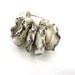 Criffles - Creamy Ivory Oyster Rustic Crusty Wavy Lampwork Discs with Beach Glass Finish- set of Five