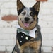 Tuxedo Bow Tie Bandana Sz S M or L