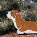 Basset Hound puppy - "Maybelline and Percilla Peeps"