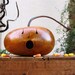 Halloween Gourd Jack O Lantern Natural Fall Harvest Spooky Pumpkin Decoration