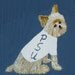 Yorkshire Terrier Dog Penn State Fan Painting on Wood, Signed, Original by MJH