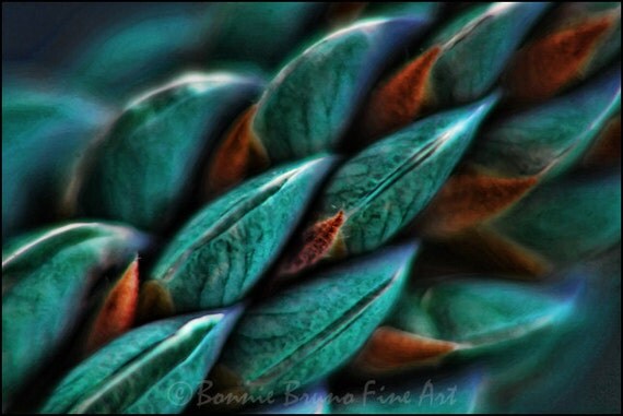 Items similar to Nature Photography Teal and Turquoise Lupine fine art ...