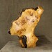 Abstract Wood Carving Sculpture Christmas Gift on Etsy carved by Gary Burns the Treewiz, Handmade Woodworking