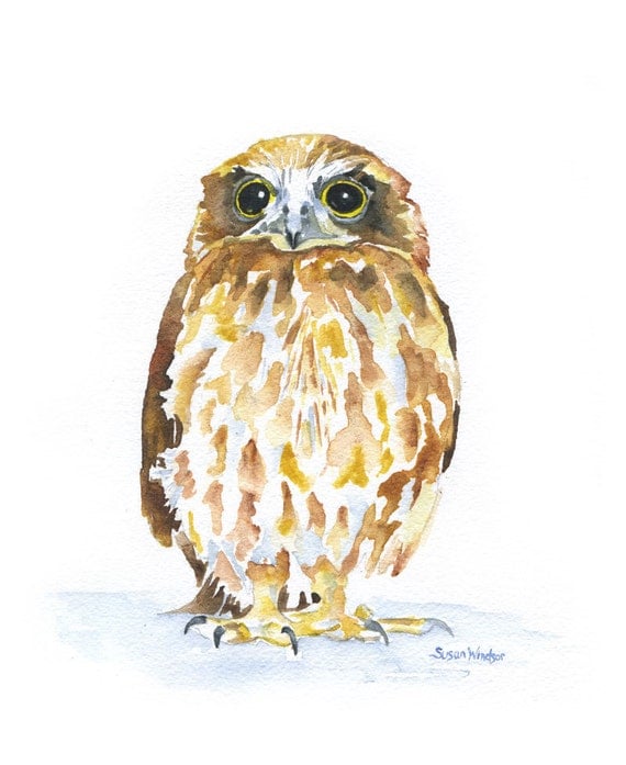 Owl Watercolor Painting Giclee Print 8 X 10 Woodland Animal   Il 570xN.392609181 99j3 