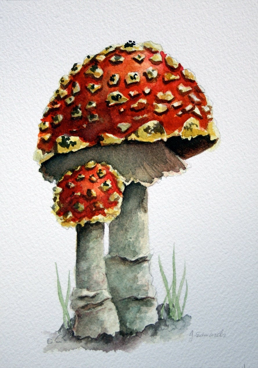 Two Mushrooms Original Watercolor