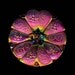 TREATS20 Coupon Take 20% Off Modern Czech Carnival Glass Faux Passementerie 5 Point Star Button Multicolor Mirror Back