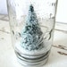Mason Jar Snow Globe