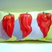 Chili Peppers Hand Painted Pillow - Southwestern - 8x14 - Chili Lover Accent