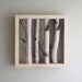 natural white birch forest wall art - 12x12