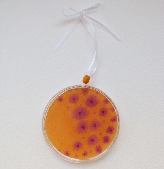 Petri Dish Ornament F13 Orange with Pink Strep Bacteria