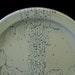 Circuit Board and Topography Plate