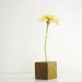 Bud Vase, Test Tube Flower Vase, etched and painted wood cube base.