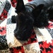 Pet or Baby Quilt Blanket-Scottie Dog Black White and Red