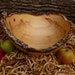 Extra Large Hand Turned Wood Bowl Natural Edge Wood Bowl Bark Box Elder Maple Wood Bowl.Large Salad Bowl Fuit Bowl Dough Bowl Red Bowl