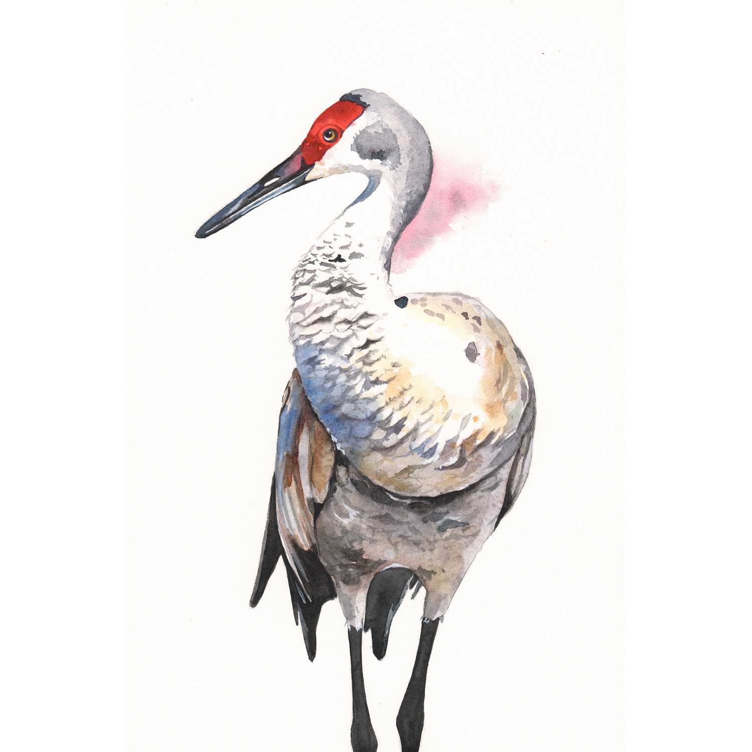 Crane Painting wildlife bird art print of watercolor