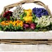 Market Basket Dried Floral Arrangement, Decor, Dried Flowers, Contemporary Floral, European Floral