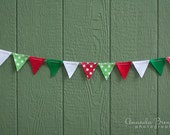 SALE Christmas Felt Bunting Garland Il_170x135