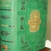 Antique Victorian Book The Conflict of Science with Religion
