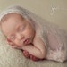 sheer LACE stretch Wrap - Champagne - Newborn Photo Prop - Maternity Photography Prop, Newborn Wrap