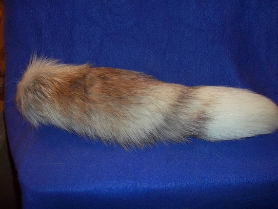 Real animal Tanned brown marble Fox tail Fur Pelt by boomer2563